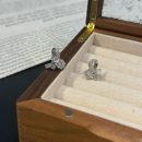 [Moissanite] 925 Sterling Silver Earrings