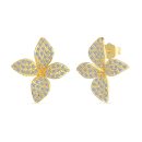 925 Sterling Silver 14K Plated Cubic Zirconia Earrings