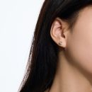 925 Sterling Silver Cubic Zirconia Earrings