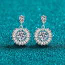 High-End Moissanite 925 Sterling Silver Stud Earrings