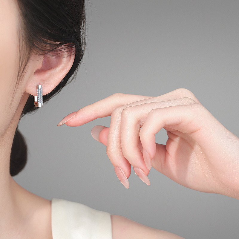 High-End Moissanite 925 Sterling Silver Earrings - Image 4