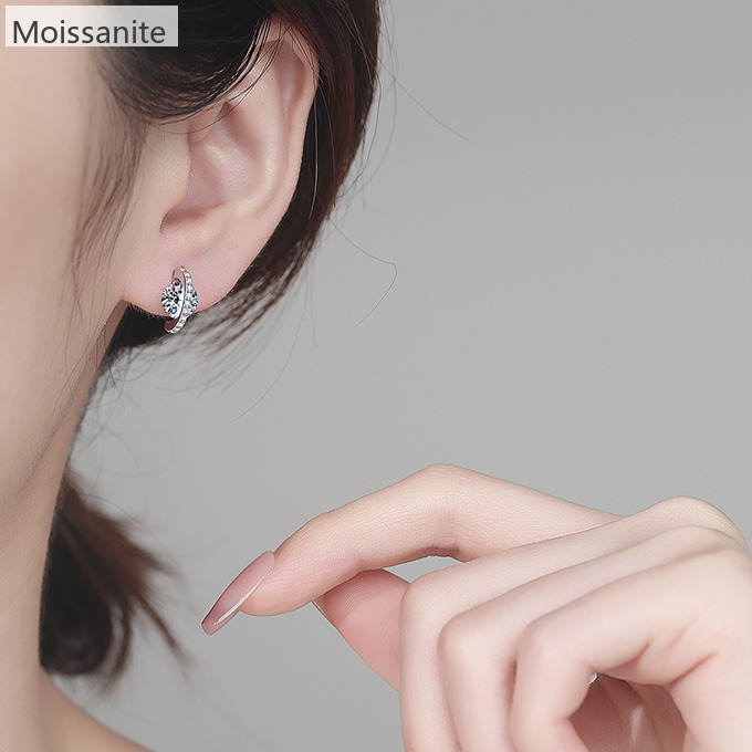 Moissanite 925 Sterling Silver Earrings - Image 3